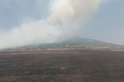 Kahramanmaraş'taki 2 orman yangınından 1'i kontrol altına alındı