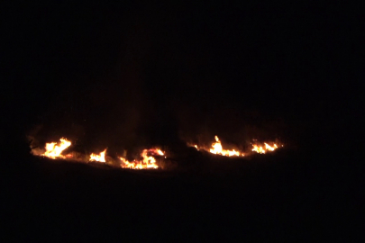 Sivas'ta ot yangını