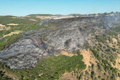 Manisa'da orman yangını, müdahale sürüyor