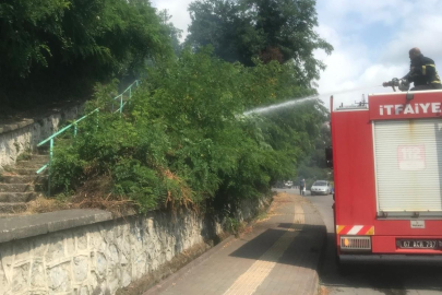 Zonguldak'ta anız yangını büyümeden söndürüldü