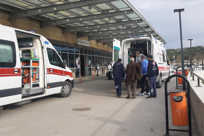 Ardahan'da yıldırım isabet eden 2 kişi yaralandı