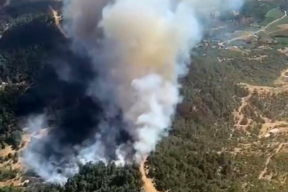 İzmir Ödemiş'te çıkan orman yangını kontrol altına alındı