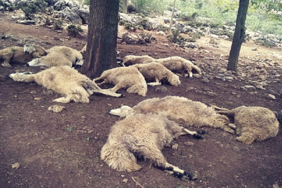 Kırgızistan'da yıldırım düştü! Yüzlerce insan hayatını kaybetti!