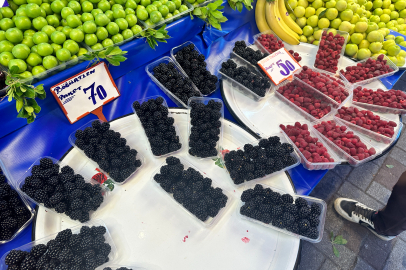 Ahududu ve böğürtlen sezonu açıldı!