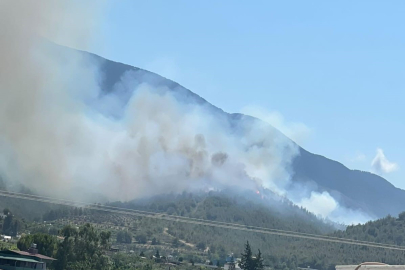 Hatay’da orman yangını