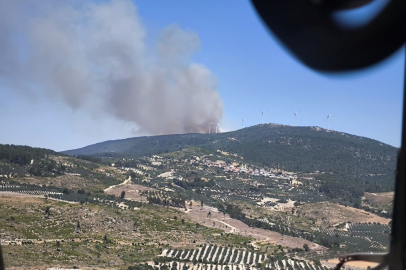 Manisa Soma'da orman yangını