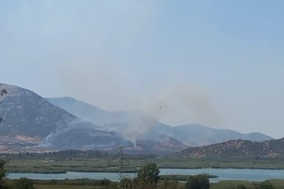 Selçuk'ta orman yangını