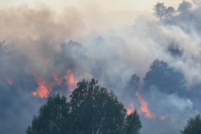 Afyonkarahisar'da dağlık alanda yangın