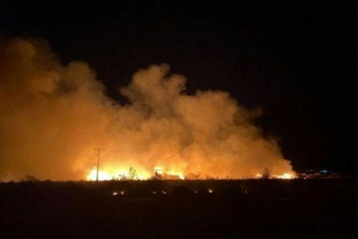 Muğla'da bal paketleme tesisinde büyük yangın