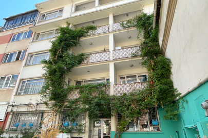 Bursa’da bu ev yeşili yaşatıyor!