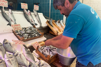 Bursa tezgahlarında hangi balık türleri yer alıyor?