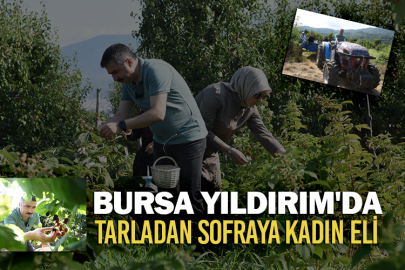 Bursa Yıldırım'da tarladan sofraya kadın eli