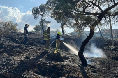 Balıkesir'in Çamlık mevkiinde çıkan arazi yangını söndürüldü