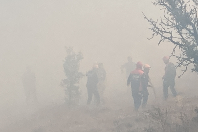 Bolu’da kontrol altına alınan yangın tekrar alevlendi