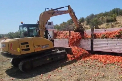 Bursa’da 30 ton domatesi kepçeyle boş araziye döktü: Üretici gemileri yakarsa fabrikalar domates bulamaz