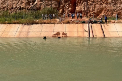 Şanlıurfa'da sulama kanalına giren kardeşlerden acı haber