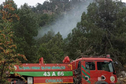 Ormanlık alana düşen yıldırım yangına neden oldu