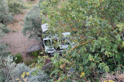 Gemlik Belediyesi'nin acı günü: Zeytin tarlasına uçan araçtaki genç hayatını kaybetti