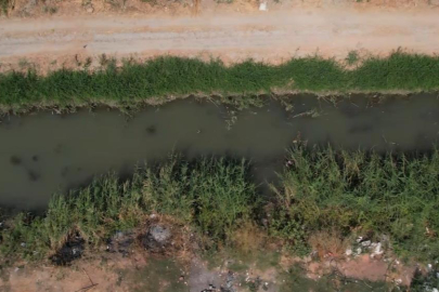 Bursa'da zehir saçan derede toplu balık ölümleri görüldü: Vatandaş şikayetçi