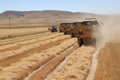 Türkiye ve Mısır, tarım alanında işbirliğine gitme kararı aldı