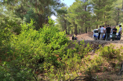 Fethiye'de ormanda terk edilmiş bebek bulundu