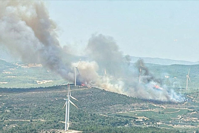 İzmir Urla'da orman yangını