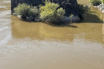 Karasu Nehri'ndeki kirlilik tedirgin ediyor