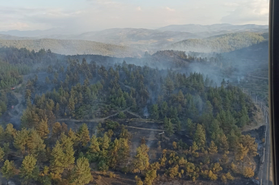  Bursa'da korkutan orman yangını