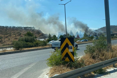 Milas'taki orman yangını kontrol altına alındı