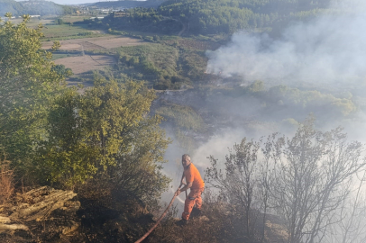  Antalya'da orman yangını