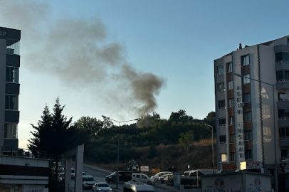 Hamitler’de çıkan anız yangını kontrol altına alındı