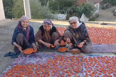 90 yaşındaki üç kadından uzun ömrün sırları...