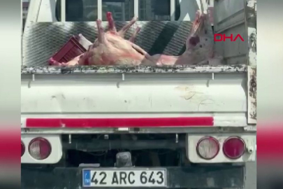 Konya'da mide bulandıran görüntüler: Etler böyle taşındı