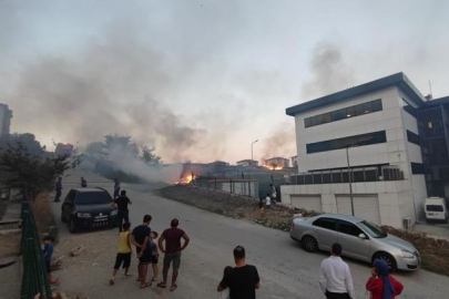  Sakarya'da korkutan yangın: Mahalleli sokağa döküldü