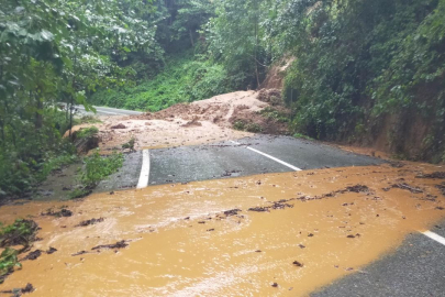 Artvin'de heyelan nedeniyle kapanan 32 köy yolu açıldı