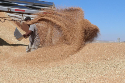 Güneydoğu’nun 8 aylık hububat ihracatı 2,2 milyar dolar