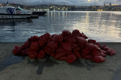 Kadıköy’de tonlarca kaçak midye ele geçirildi