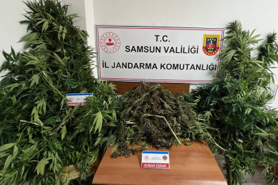 Samsun'da jandarma 7 kilo kubar esrar ele geçirdi