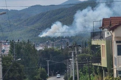 Muğla'da orman yangını