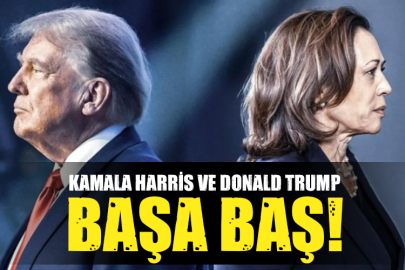  Harris ile Trump başa baş gidiyor