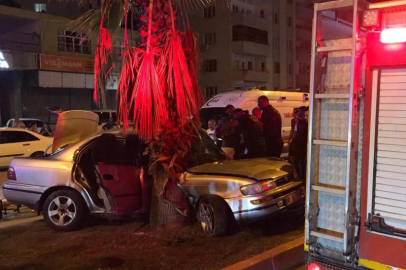 Kontrolden çıkan araç, ağaca çarparak durabildi: O anlar kamerada