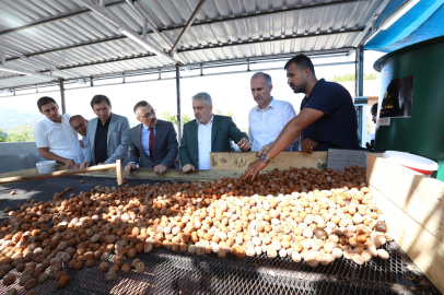 Bursa İnegöl’de hedef 42 bin ton ceviz