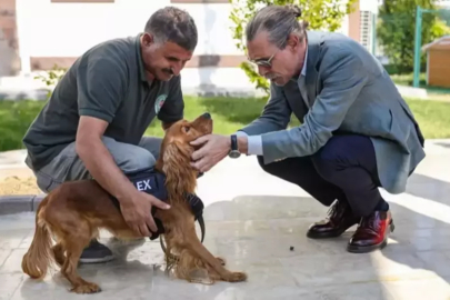 Erdal Beşikçioğlu, eğitimleri tamamlanan 5 sokak köpeğini belediye bünyesine aldı