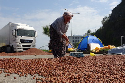 Fındık hem randıman hem de rekolte olarak üreticiyi yanılttı