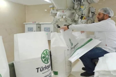 Türkşeker fabrikalarına 1350 işçi alınacak