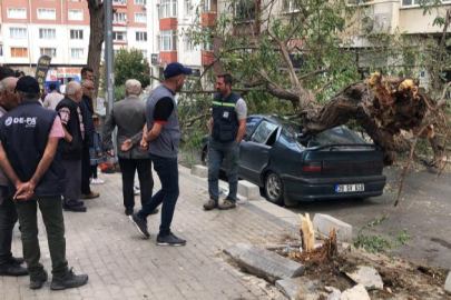 Üzerine ağaç devrilen otomobil hurdaya döndü