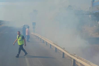 Yol kenarına atılan sigara izmariti yangın çıkardı