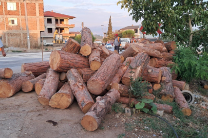 Bursa'da kamyon virajı alamadı, tomruklar yola saçıldı