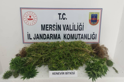 Mersin'de zehir tacirlerine darbe! 4 şüpheli yakalandı