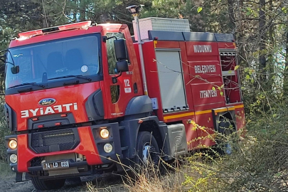 Bolu'da otluk alanda çıkan yangın büyümeden kontrol altına alındı